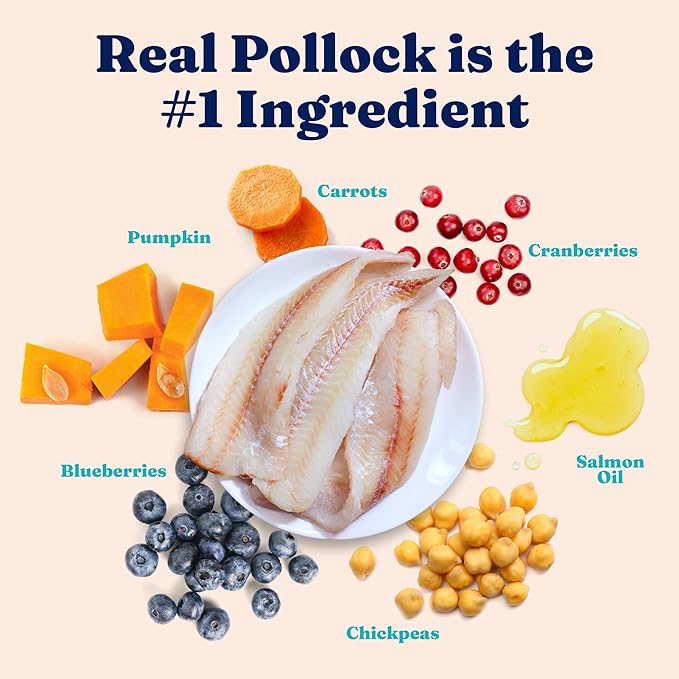 Solid Gold Weight Management Cat Food for Adults - Grain Free & Gluten Free Dry Cat Food Indoor & Outdoor Recipe for Healthy Weight w/Alaskan Pollock & Probiotics for Gut Health & Digestion - 12 LB