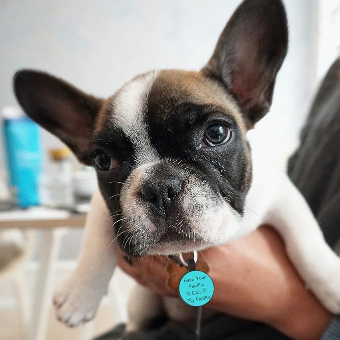 Myluctag QR Code Dog Cat Silicone Digital ID Tag, Online Pet Profile, Pet Location Alert Email