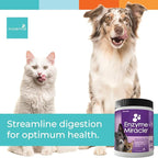 Digestive Enzymes for Dogs & Cats : Protein, Carbs, Starches & Fats Digestion : Supports Diet Change : Enzyme Miracle (364 Scoops, Powder)