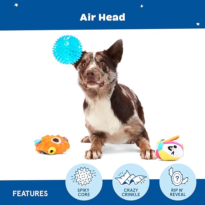 Barkbox Air Head Dog Toy – Rip & Reveal Plush Toy with Hidden Spiky Squeaker Ball, Crazy Crinkle & Fluffy Filling – Interactive Play for Medium to Large Dogs