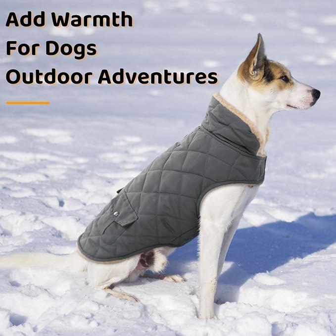 Queenmore Dog Winter Coat - Fleece Jacket, Waterproof Cold Weather Clothes, Thick Warm Cotton Padding, Easy On Storage Pockets (Grey, Large)