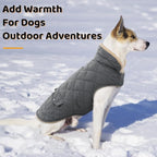 Queenmore Dog Winter Coat - Fleece Jacket, Waterproof Cold Weather Clothes, Thick Warm Cotton Padding, Easy On/Off Storage Pockets (Grey, X-Small)