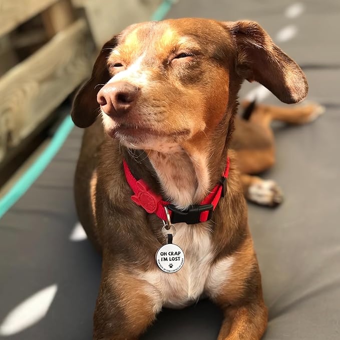 MYLUCKYTAG Silent Silicone QR Code Dog Tags - Scan QR for Instant Pet Location Alert Email