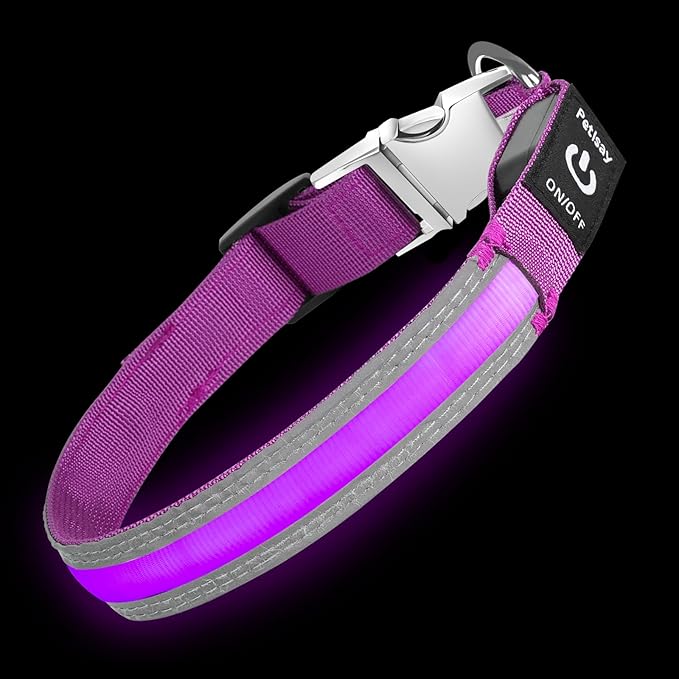 PetIsay LED Dog Collar Metal Buckle - Heavy Duty Light up Collars - Rechargeable IP68 Waterproof - Lighted Dog Collar for Night Walking, Hiking, Camping (Small, Purple)