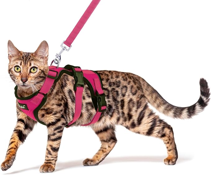 PUPTECK Cat Harness and Leash Set Escape Proof for Walking, Breathable Mash Vest Adjustable Harness for Cats Puppy Small Animals, Reflective at Night, Fuschia Small