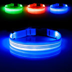 Illumifun Light Up Dog Collar, USB Rechargeable LED Dog Collar, Adjustable Reflective Lighted Pet Collar for Night Walking Camping (BlueⅢ, Large)