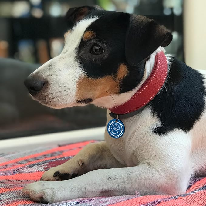 MYLUCKYTAG QR Code Stainless Steel Pet ID Tag - Personalized Online Profile, Location Alert Email, Digital ID, Durable Dog Collar Tag, Engraved