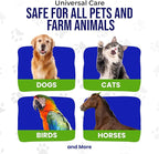 Holistic Pet Care - Colloidal Silver Spray for Dogs, Cats, Horses & Birds - 20 PPM Effective Wound Care, Hot Spot Treatment, Skin Relief & Immune Support - All-Natural Pet Silver Spray (16 Oz)