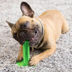 Chew Toy for Dog Toothbrush Stick Dog Toys for Aggressive Chewers Interactive Toys Treats Tough Toy to Keep Them Busy Chew for Small Dogs (Green, M)