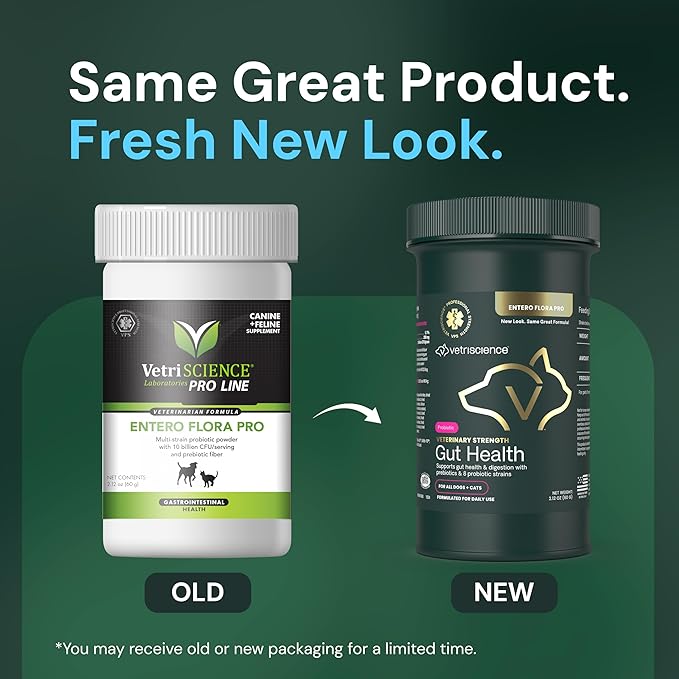 VetriScience Veterinary Strength Gut Health Powder - Gut Health Supplement for Pets - Immunity Support - Pet-Friendly Probiotic Powder - Tasteless & Odorless - 60 Servings