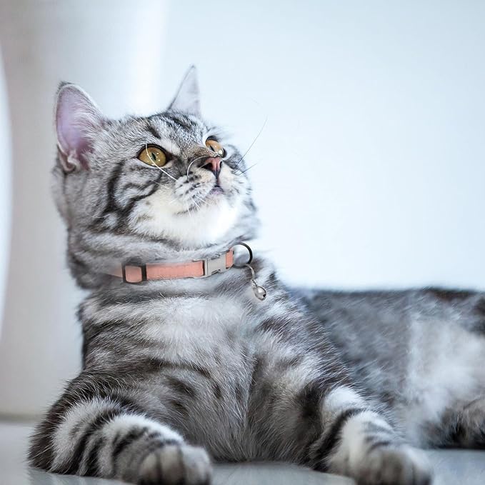 Leather Cat Collar with Buckle and Removable Bell - Non Breakaway Adjustable Soft Safety Small Pet Collars for Girl Boy Cats Kitten (Flamingo)