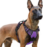 rabbitgoo Dog Harness for Large, No Pull Pet Harness with 3 Buckles, Adjustable Soft Padded Vest with Control Handle, Walking Reflective Pet Vest for Extra Large Dogs, Purple, XL
