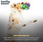 Huxley & Kent Halloween Funny Dog Toy w/Squeaker – Power Plush Squeaky Dog Toys for Small, Medium & Large Dogs – Soft Stuffed Animal for Indoor Play & Fetch - Frankenstein Donut, One Size