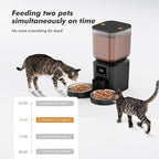 Automatic Cat Feeder for 2 Cats - 8L/34 Cups Large Capacity Auto Cat Food Dispenser with LCD Screen, 2 Food Trays, Timed Feeder, Up to 50 Portions 6 Meals Per Day, Keep Fresh