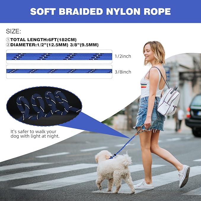 lynxking Slip Lead Dog Leash Reflective, Heavy Duty Comfortable Strong Rope for Large Medium Small Dogs No Pull Pet Training (Blue, 2PCS Large 1/2in x 6ft)