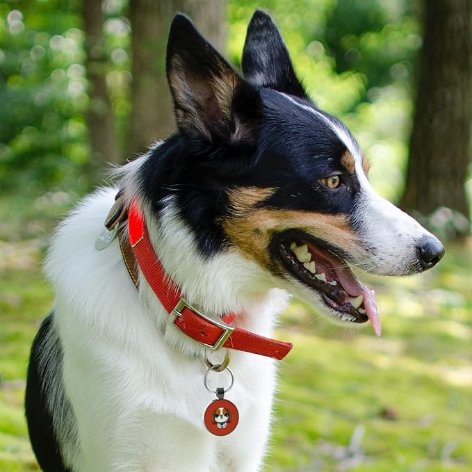 MYLUCKYTAG QR Code Dog Tags - Scan for Instant Pet Location Alert Email