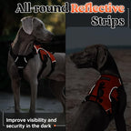 rabbitgoo Escape Proof Dog Harness, Soft Padded Full Body Pet Harness, Reflective Adjustable No Pull Vest with Lift Handle and Leash Clip for Large Dogs Walking Hiking Training, L, Orange