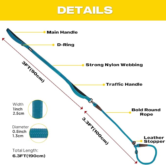 Fida 2-in-1 Slip Leads for Dogs with Double Handles, Tangle Free Leash for Large Dogs That Pull, Heavy Duty No Pull Training Leash Reflective Soft Padded for Large & Medium Breed(6ft,Blue)