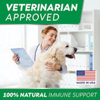 STRELLALAB Dog Allergy Relief & Anti Itch Support Chews w/Omega 3: Real Ingredients, Real Taste! Skin & Coat Immune Supplement w/Fish Oil, Pumpkin & Enzymes — BBQ Chicken - 180Ct