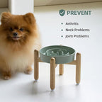 7.3inch Ceramic Raised Slow Feeder Dog Bowl Set, Elevated Wooden Stand for Medium and Small Dog, Puzzle Slow Dish, Preventing Choking(Light Green, Single Bowl+ Stand)