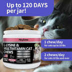 Lysine Supplement for Cats, Cat Treats for Sneezing and Runny Nose, Cat Cold, Cat Immune Support, Eye Function, and Respiratory Health, L-Lysine cat Vitamins for Cats (120 Pills, Salmon)