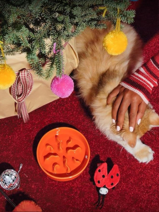 Ceramic Slow Feeder Dog Bowls Small Breed, 0.5 Cups Dog Food Dish for Fast Eaters, Puzzle Bowl for Small Dogs and Cats, 5.5 Inch-Orange