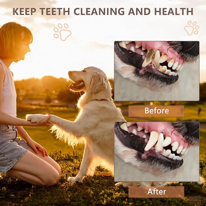 Squeaky Dog Toys - Plush Tug of War with Crinkle Paper, Interactive Pull Toy for Puppies to Large Dogs