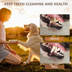 Squeaky Dog Toys - Plush Tug of War with Crinkle Paper, Interactive Pull Toy for Puppies to Large Dogs