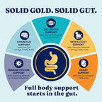Solid Gold Wet Dog Food Variety Pack for Picky Eaters - Fit & Fabulous Chicken + Leaping Waters Chicken & Salmon Grain Free Canned Dog Food - Made with Real Protein for Sensitive Stomachs - 6 Pack