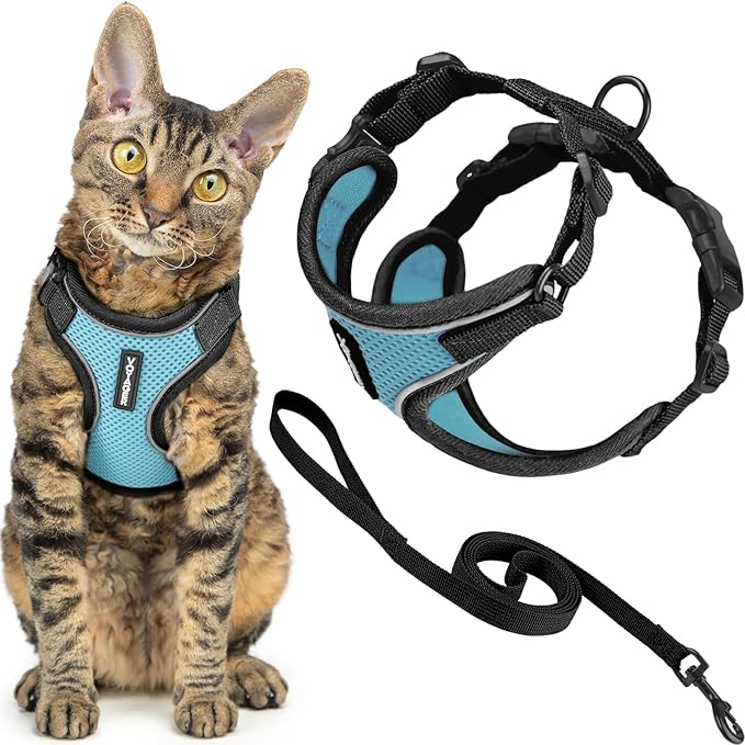 Voyager Escape-Proof Step-in Lock Cat Harness & 5ft Neoprene-Handle Leash Set All-Weather Mesh with Reflective Stitching for Small to Large Cats by Best Pet Supplies, Black Trim-Baby Blue (327), XS