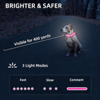 Super Bright LED Dog Collar - Fully Waterproof & Adjustable Glow Collar - USB-C Rechargeable for Night Walking, Safety - Flashing Lighted Collar for Dogs(Pink,S)
