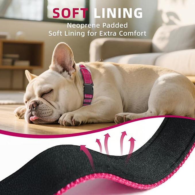 Reflective Dog Collar, Soft Neoprene Padded Nylon Pet Collar with Quick-Release Buckle, Adjustable for Mediunm Dogs,Hotpink,M, 3/4" Width
