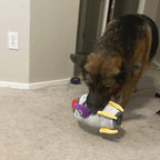 Jalousie Multipack Dog Squeaky Toys Strong Almost Indestructible, with Added Liner for Longer Play Dog Chew Toys (6 Pack Spaceship Hide and Seek)