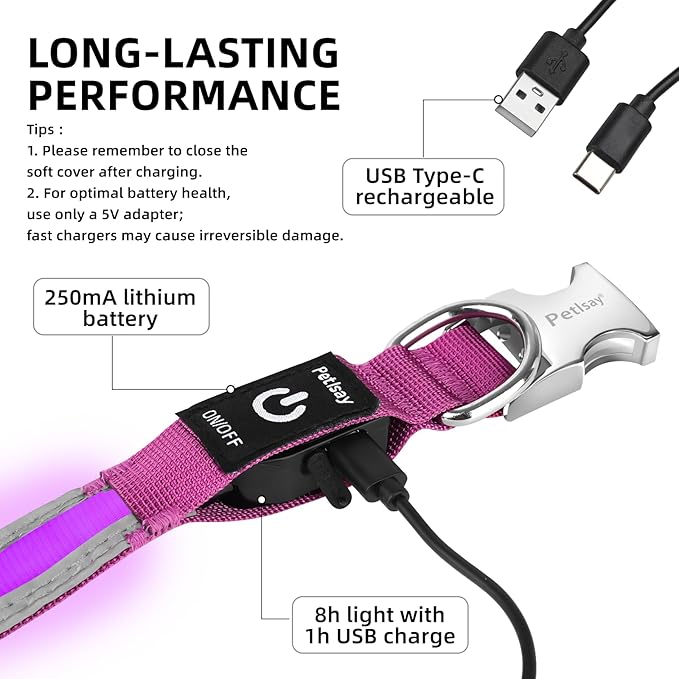 PetIsay LED Dog Collar Metal Buckle - Heavy Duty Light up Collars - Rechargeable IP68 Waterproof - Lighted Dog Collar for Night Walking, Hiking, Camping (Small, Purple)