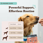 Natural Dog Company Omega Skin & Coat Chews, Vet Strength Supplement, Itchy Skin Relief, Moisture Balance & Coat Hydration, Biotin & Vitamin E, Dry Skin Care, Vet-Recommended, USA Made, 90 Ct