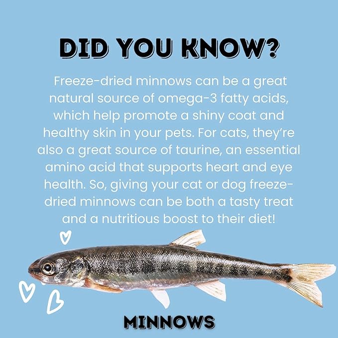 Freeze-Dried Minnows for Cats & Dogs – 100% Natural Single Ingredient Snack – High Protein, Grain-Free, Raw Diet Dog Treats – Omega-3 Fish – No Additives or Preservatives Minnows for Cats (4 Ounce)