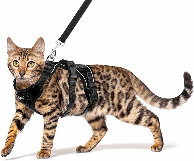 PUPTECK Cat Harness and Leash Set Escape Proof for Walking, Breathable Mash Vest Adjustable Harness for Cats Puppy Small Animals, Reflective at Night, Black Medium