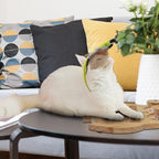 Petest Interactive Cat Toy Natural Sisal Cat Scratcher Toy with Catnip Balls, Owl Design