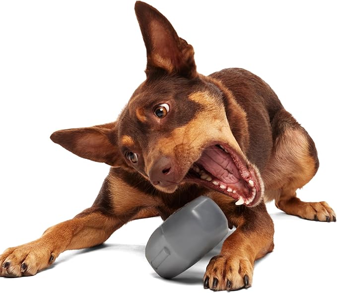 Barkbox Drac Casket Dog Toy – Treat Dispensing, Natural Rubber, Wacky Bounce, Dishwasher Safe, Perfect for Drac Snacks - Dog Chew Toy for Medium Dogs