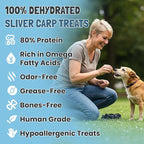 Ruff Town Dog Treats – Human Grade Silver Carp, Dehydrated Single Ingredient | High Protein & Omega Fatty acids for Dogs, Cats | Hypoallergenic, Ideal for All Breeds & Sizes, Made in USA (3 oz)