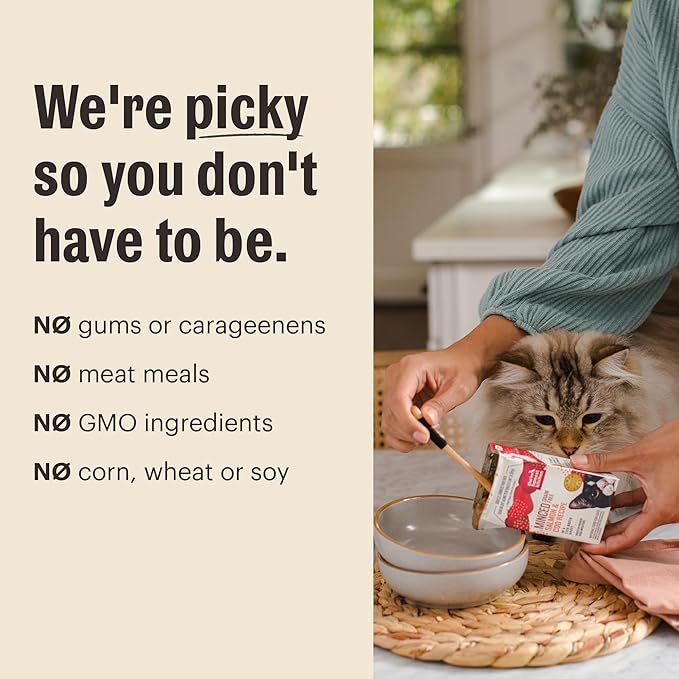 The Honest Kitchen Câté™ Grain Free Turkey Pâté Wet Cat Food, 5.5 oz (Pack of 12)