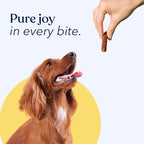 Honest Paws Dog Jerky Treats - All-Natural Jerky Dog Treats for Training Pets - Human Grade Sticks - Real USA Beef