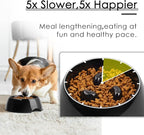 Super Design Slow Feeder Dog Bowl, Melamine, 1.5 Cup, Black, 8.6 x 8.4 x 2.7 in, 1.39 Pounds