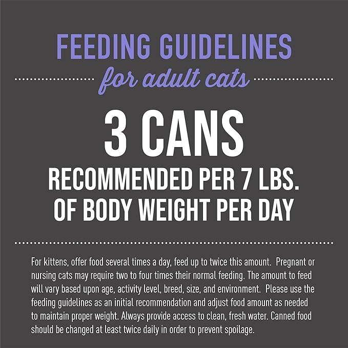 Tiki Cat After Dark, Chicken & Duck, High-Protein and 100% Non-GMO Ingredients, Wet Cat Food for Adult Cats, 2.8 oz. Cans (Pack of 12)