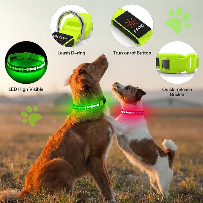 Flashseen Light Up Dog Collars, Adjustable LED Dog Collar Rechargeable, Glow in The Dark Dog Collars Super Bright Glow Collars for Night Walking for Dogs (Green, Medium)
