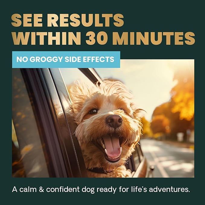 VetriScience Calm & Confident Calming Chews for Dogs, Supplement for Stress Support, Thunderstorms, Fireworks, & Travel, Bacon, Soft Chews, 120 Count - New Look
