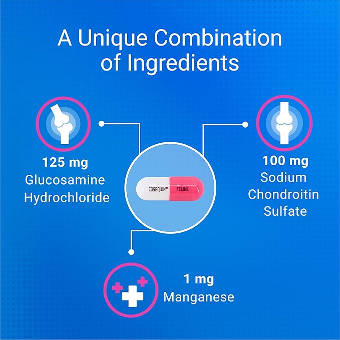 Nutramax Cosequin Joint Health Supplement for Cats - With Glucosamine and Chondroitin, 80 Capsules (Pack of 2)