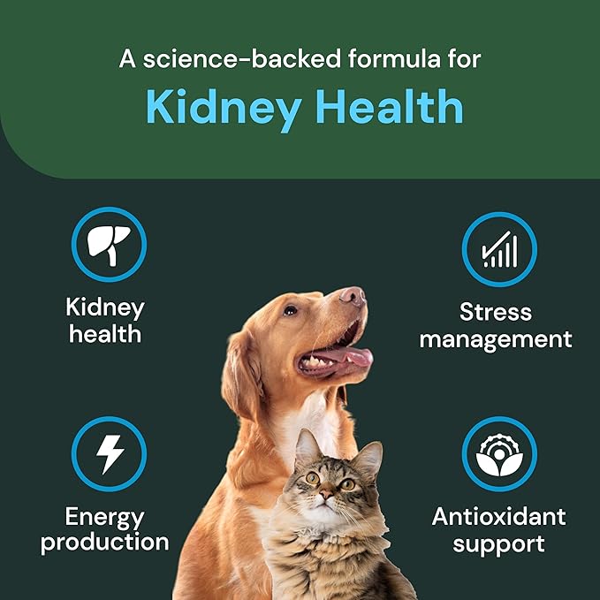 Vetriscience Veterinary Strength Kidney Health Chews - Balanced Kidney Support for Pets - Feline & Canine Renal Support - Holistic Formula - Chicken Liver Flavor - 60 Count