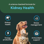 Vetriscience Veterinary Strength Kidney Health Chews - Balanced Kidney Support for Pets - Feline & Canine Renal Support - Holistic Formula - Chicken Liver Flavor - 60 Count