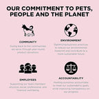 Go! Solutions Sensitivities Limited Ingredients, Grain-Free Dry Dog Food, Small Bites Salmon Recipe for Sensitive Stomach, 3.5 lb Bag